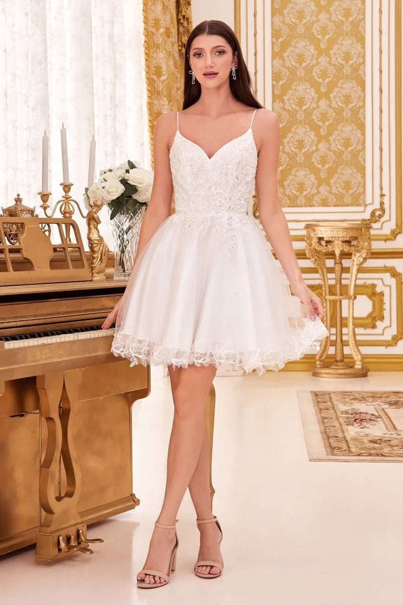KARINA DRESS